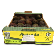 Avokádo Hass cal. 20-22 - Maroko (bedna 4 kg)