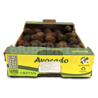 Avokádo Hass cal. 20-22 - Maroko (bedna 4 kg)