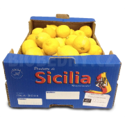 Citróny žluté cal. 3-5 - Primofiore - Itálie (bedna 6 kg)