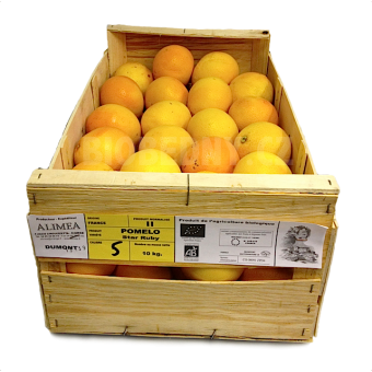 Grapefruit červený - DEMETER - Itálie (10 kg)