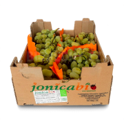 Hroznové víno bílé bez pecek - Prime - Jihoafrická rep. (bedna 4,5 kg)