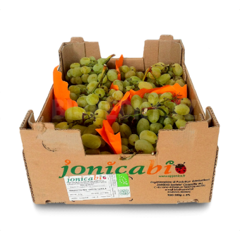 Hroznové víno bílé bez pecek - Prime - Jihoafrická rep. (bedna 4,5 kg)