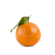 Mandarinky Ciaculli cal. 2-3 - Itálie - DEMETER (bedna 6 kg)