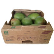 Mango - Peru (bedna 9-10 ks, cca 4 kg)