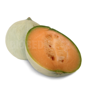 Meloun medový - Honeymoon - Itálie (bedna cca 6 kg, 5-6 ks)