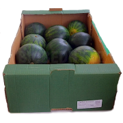 Meloun vodní Nikas mini - Itálie (bedna 14 kg)