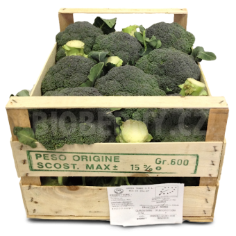 Brokolice - Itálie (bedna 5 kg)