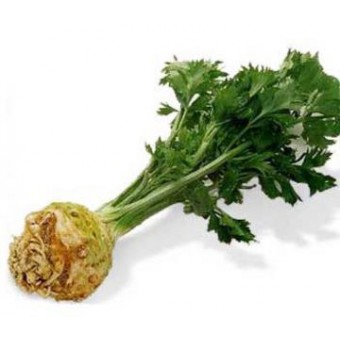 Celer s natí - DEMETER - Itálie (bedna cca 8 kusů, 400-600 g / ks)