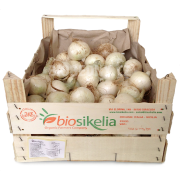 Cibule bílá - Itálie (bedna 6 kg) Cibule bílá - Itálie (bedna 6 kg)