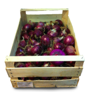 Cibule červená - Itálie (bedna 9 kg) Cibule červená - Itálie (bedna 9 kg)