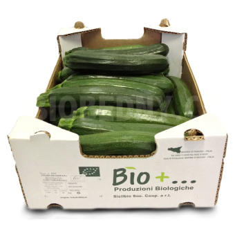 Cuketa - Španělsko (bedna 6 kg)