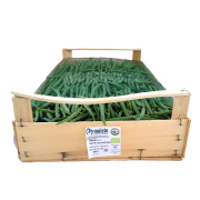 Fazolky Bush - DEMETER - Itálie (bedna 4 kg) Fazolky Bush - DEMETER - Itálie (bedna 4 kg)