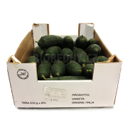 Okurka mini - Itálie (bedna 6 kg)