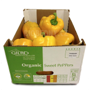Paprika žlutá cal. L - Itálie (bedna 5 kg)
