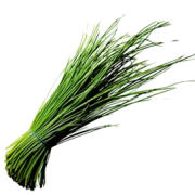 Roscano Agretto - Itálie - DEMETER (bedna 10 svazků x 150 g)