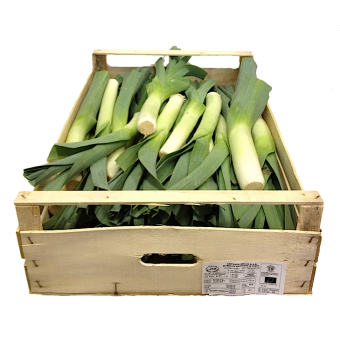 Pórek - Itálie (bedna 6 kg)