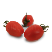 Rajče Picadilly na stonku - Itálie (bedna 3 kg)