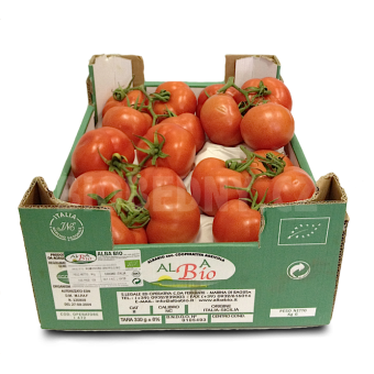 Rajčata na stonku - Itálie (bedna 6 kg)