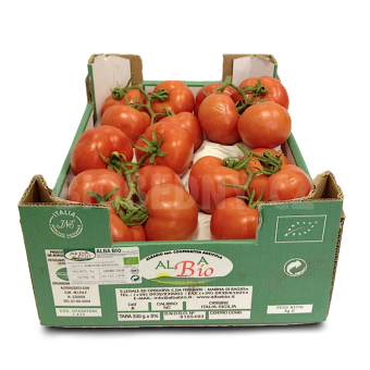 Rajčata na stonku - Španělsko (bedna 6 kg)