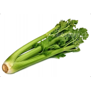 Řapíkatý celer - Španělsko (bedna 8x 400 g - v sáčcích)